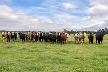 169 Bennetts Road, Oxford