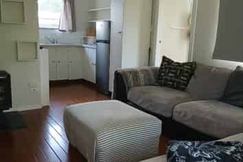 55 Te Herekiekie Street , Turangi