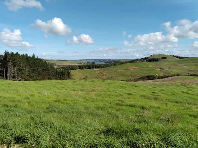 2 Gumtree Way, Kaiwaka