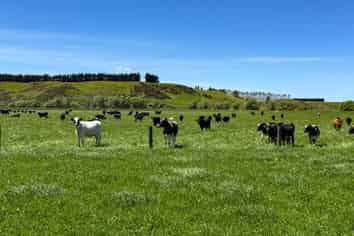 840 Ardlussa Cattleflat Road, Cattle Flat