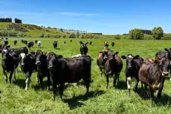 840 Ardlussa Cattleflat Road, Cattle Flat