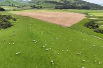 124 Niagara Waikawa Road, Tokanui