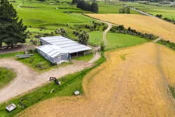 124 Niagara Waikawa Road, Tokanui