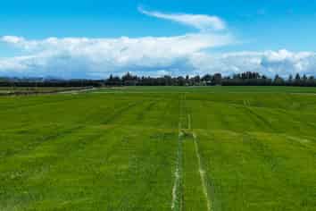 400 Mandeville Kingston Crossing Road, Nine Mile