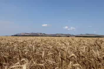 400 Mandeville Kingston Crossing Road, Nine Mile