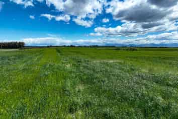 400 Mandeville Kingston Crossing Road, Nine Mile