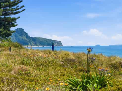 677 Pukehina Parade, Pukehina