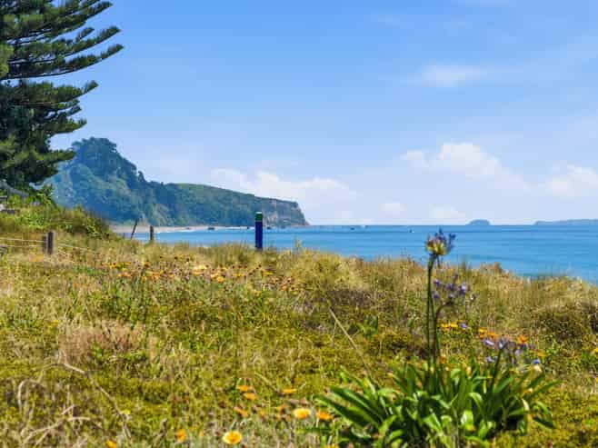 677 Pukehina Parade, Pukehina