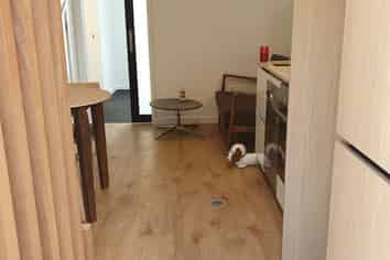 Wellington - Address withheld