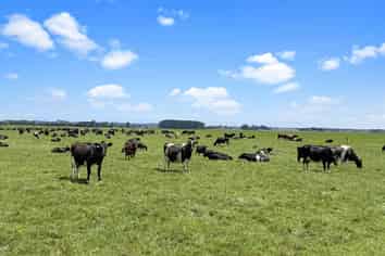 92 Speedy Road, Rongotea