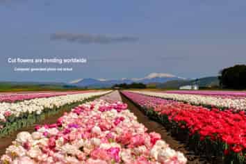 Lot 2 Willowbridge Road, WAIMATE