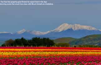 Lot 2 Willowbridge Road, WAIMATE