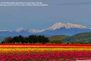 Lot 2 Willowbridge Road, WAIMATE