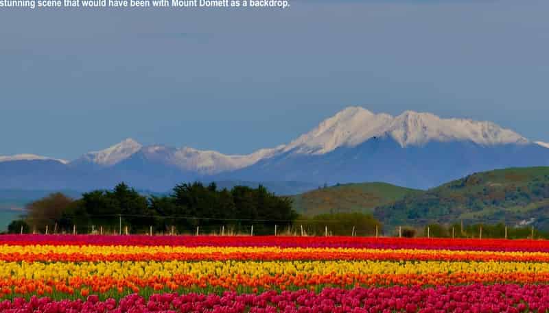 Lot 2 Willowbridge Road, WAIMATE