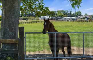 3714 Cambridge Road, Cambridge