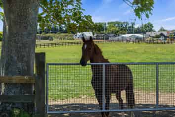 3714 Cambridge Road, Cambridge