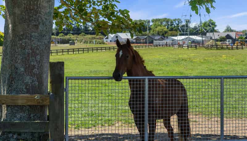 3714 Cambridge Road, Cambridge