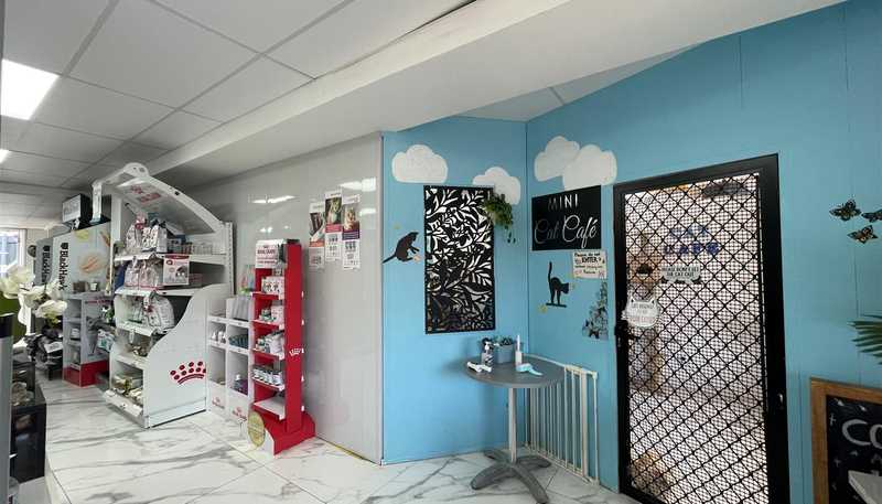  Shop 3, 368 Beach Road, Mairangi Bay