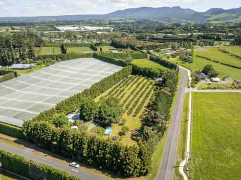 6 Sedgemoor Lane, RD 2, Katikati