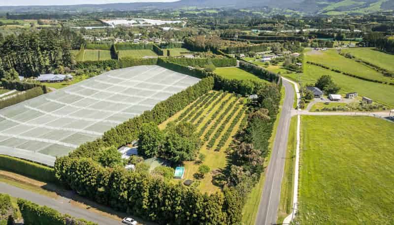 6 Sedgemoor Lane, RD 2, Katikati