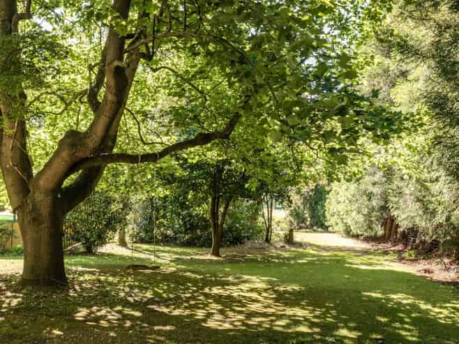 6 Sedgemoor Lane, RD 2, Katikati