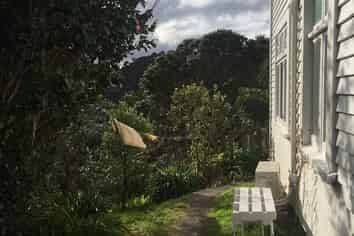 53 Durham Street, Aro Valley