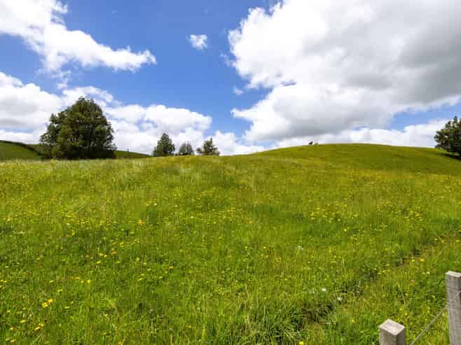 467A Te Mata Road, Raglan