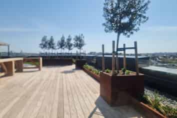 705B/20 Park Avenue, Ellerslie