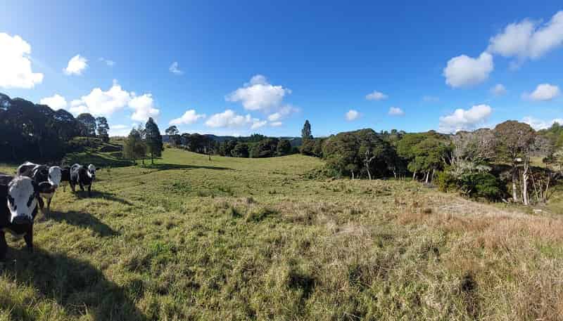 Lot 2/2084 Waiare Road, Kaeo