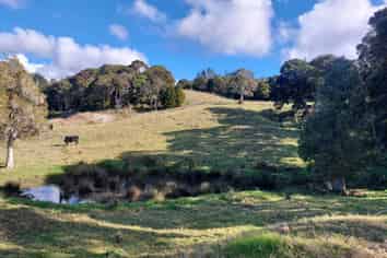 Lot 2/2084 Waiare Road, Kaeo