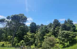 Auckland - Address withheld