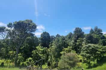 Auckland - Address withheld