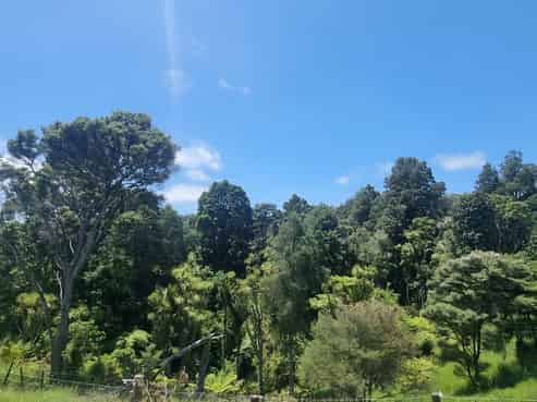 56E Kaipara Coast Highway, Helensville