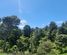 56E Kaipara Coast Highway, Helensville, Rodney, Auckland
