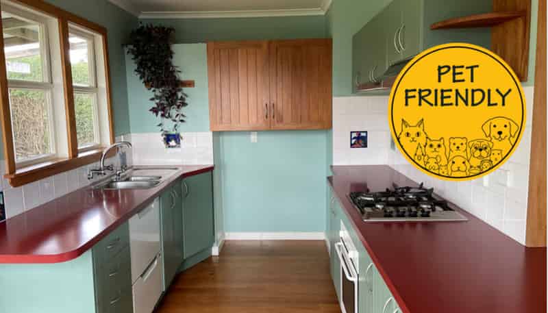 6 Dunkirk Terrace, Mount Albert