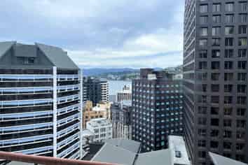803/169 The Terrace, Wellington Central