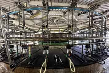 21 Meharry Road, Kokatahi