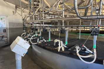 21 Meharry Road, Kokatahi