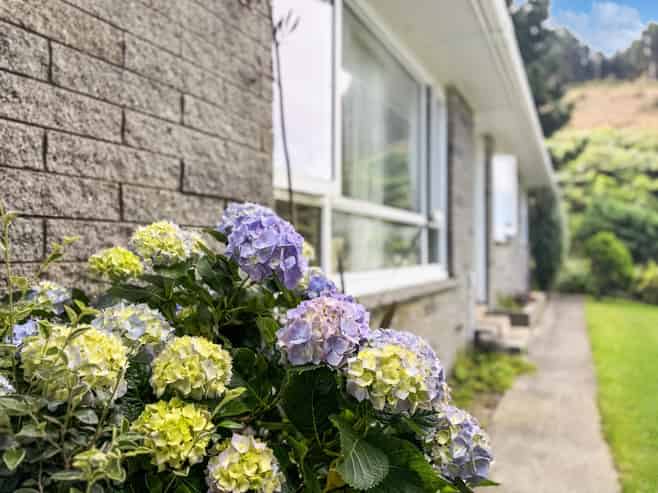 19 Richmond Hill, Glenside