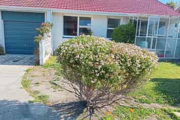 2/9 Division Street, Riccarton