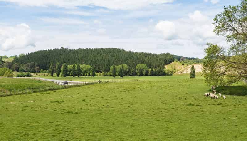 Lot 4,, 508 River Road, Otane