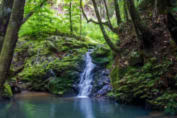 849 Owhiwa Road, Parua Bay