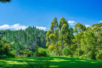 849 Owhiwa Road, Parua Bay