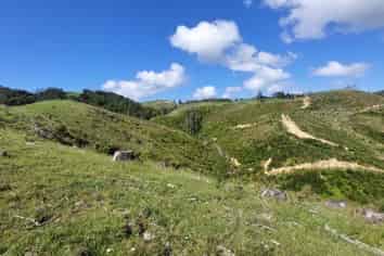 1104 Tapuhi Road, Hikurangi