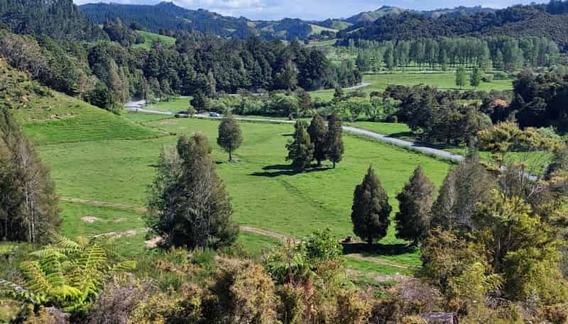 1104 Tapuhi Road, Hikurangi