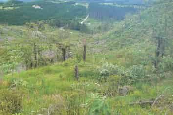 Lot 65 Stoney Creek Road, Kaikohe