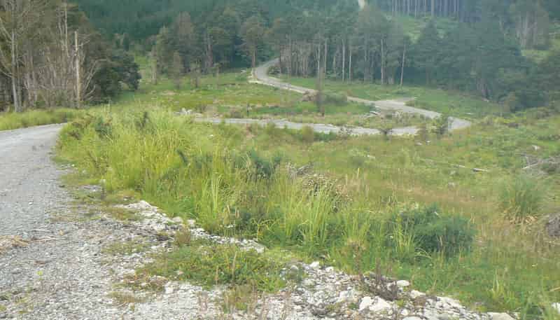 Lot 65 Stoney Creek Road, Kaikohe