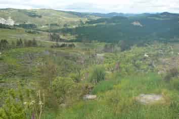 Lot 65 Stoney Creek Road, Kaikohe