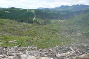 Lot 65 Stoney Creek Road, Kaikohe