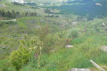 Lot 65 Stoney Creek Road, Kaikohe